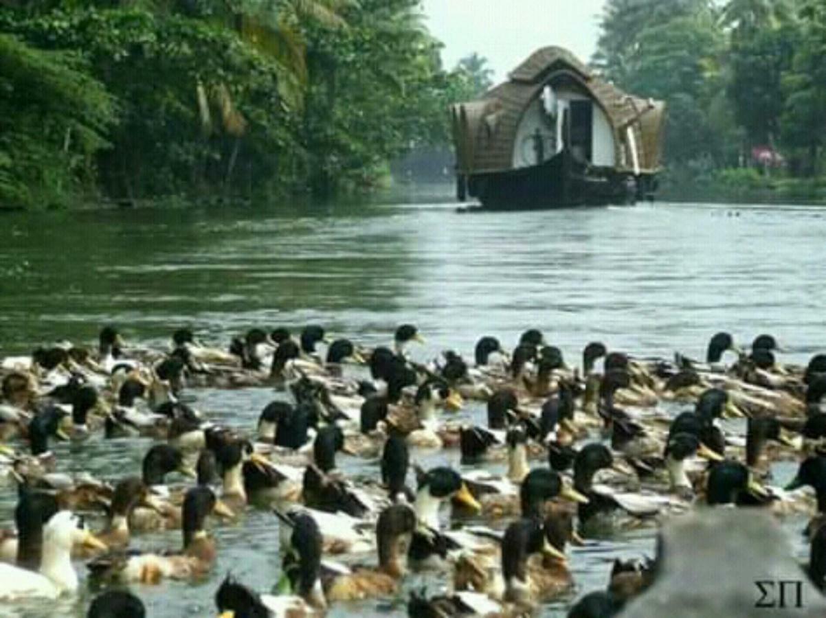Rajatheeram Beach Homestay & Backwater Cruise Alleppey Alappuzha Exterior photo